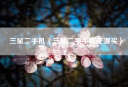 三星二手机（三星二手手机在哪买）