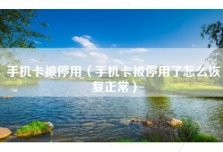 手机卡被停用（手机卡被停用了怎么恢复正常）