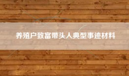 养殖户致富带头人典型事迹材料