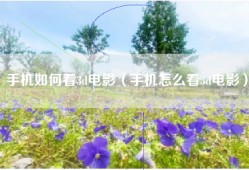 手机如何看3d电影（手机怎么看3d电影）