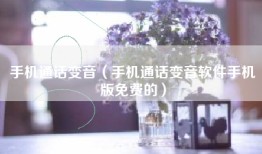 手机通话变音（手机通话变音软件手机版免费的）