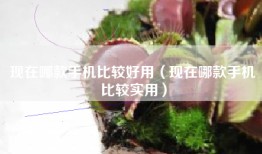 现在哪款手机比较好用（现在哪款手机比较实用）