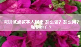 深圳试点数字人民币 怎么领？怎么用？如何推广？