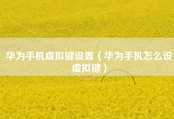 华为手机虚拟键设置（华为手机怎么设虚拟键）