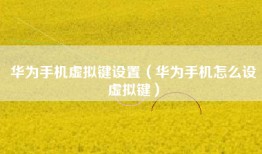 华为手机虚拟键设置（华为手机怎么设虚拟键）