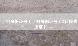 手机身份证号（手机身份证号+17转换成正常）