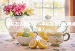 vivo手机怎么还原（vivo手机怎么还原网络设置）