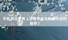 手机书法字典（手机书法字典最先进的版本）