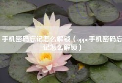手机密码忘记怎么解锁（oppo手机密码忘记怎么解锁）