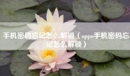 手机密码忘记怎么解锁（oppo手机密码忘记怎么解锁）