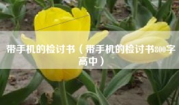 带手机的检讨书（带手机的检讨书800字高中）