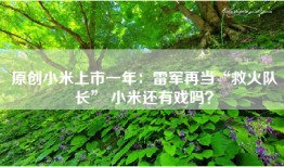 原创小米上市一年：雷军再当“救火队长” 小米还有戏吗？