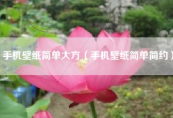 手机壁纸简单大方（手机壁纸简单简约）