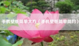 手机壁纸简单大方（手机壁纸简单简约）