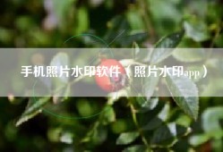 手机照片水印软件（照片水印app）