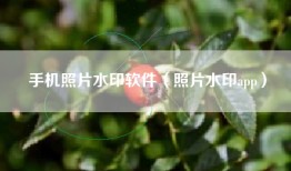 手机照片水印软件（照片水印app）