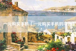 一元购买手机（一元购买手机的平台）