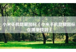 小米手机隐藏图标（小米手机隐藏图标在哪里找到）