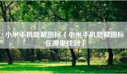 小米手机隐藏图标（小米手机隐藏图标在哪里找到）