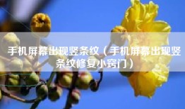 手机屏幕出现竖条纹（手机屏幕出现竖条纹修复小窍门）