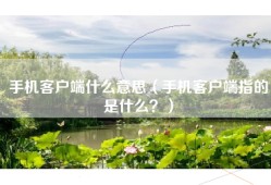 手机客户端什么意思（手机客户端指的是什么？）
