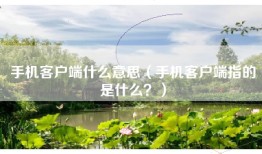 手机客户端什么意思（手机客户端指的是什么？）