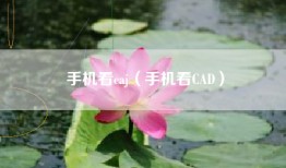 手机看caj（手机看CAD）