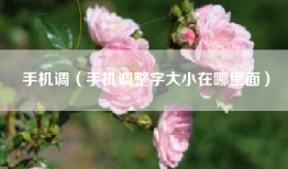 手机调（手机调整字大小在哪里面）