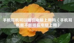 手机耳机可以插在电脑上用吗（手机耳机能不能插在电脑上用）