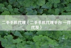 二手手机代理（二手手机代理平台 一件代发）
