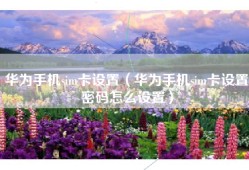 华为手机sim卡设置（华为手机sim卡设置密码怎么设置）