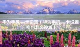 华为手机sim卡设置（华为手机sim卡设置密码怎么设置）