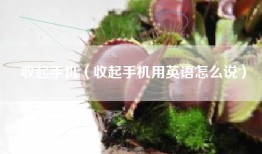 收起手机（收起手机用英语怎么说）