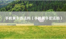 手机黄牛违法吗（手机黄牛犯法吗）