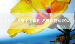 手机打火机（手机打火机软件可吹灭）