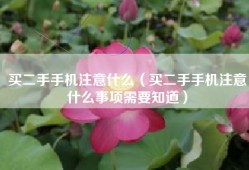买二手手机注意什么（买二手手机注意什么事项需要知道）