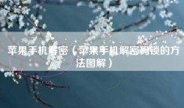 苹果手机解密（苹果手机解密码锁的方法图解）