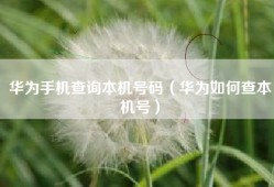 华为手机查询本机号码（华为如何查本机号）