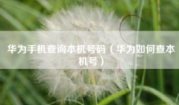 华为手机查询本机号码（华为如何查本机号）