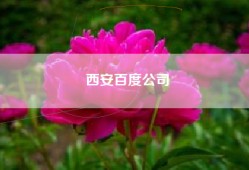 西安百度公司