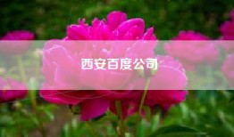 西安百度公司