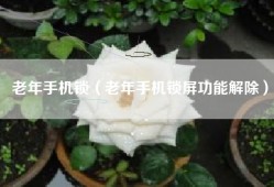 老年手机锁（老年手机锁屏功能解除）