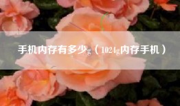 手机内存有多少g（1024g内存手机）
