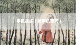 手机被虐（被手机害死）