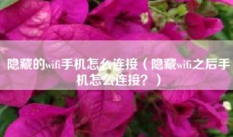 隐藏的wifi手机怎么连接（隐藏wifi之后手机怎么连接？）