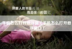 手机怎么打开悬浮窗（手机怎么打开悬浮窗口）