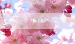 5模手机