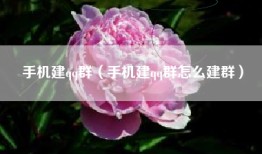 手机建qq群（手机建qq群怎么建群）