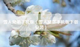雪人兄弟手机版（雪人兄弟手机版下载安装）