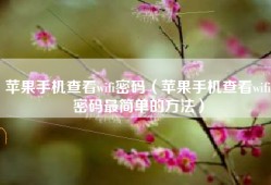 苹果手机查看wifi密码（苹果手机查看wifi密码最简单的方法）